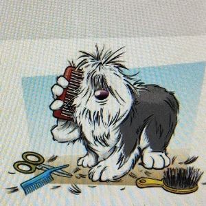 Meet your Posher, Coralynn